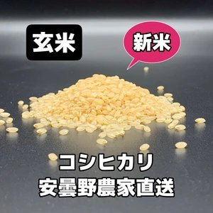 R4年産・新米【コシヒカリ玄米2kg】安曇野産自家製一等米