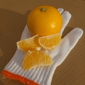 プチ極小玉八朔