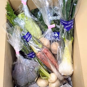 冬野菜セット