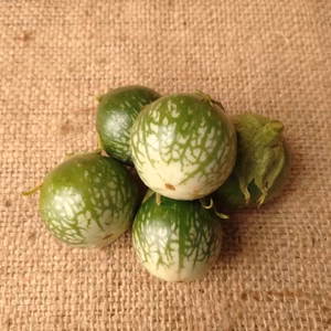 グリーンカレーに！タイなす