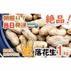 【１ヶ月間限定】自然栽培堀りたて「なま」落花生