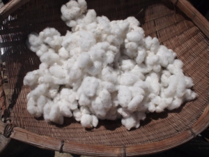 14257671_1197248177006922_7747628443002018205_o