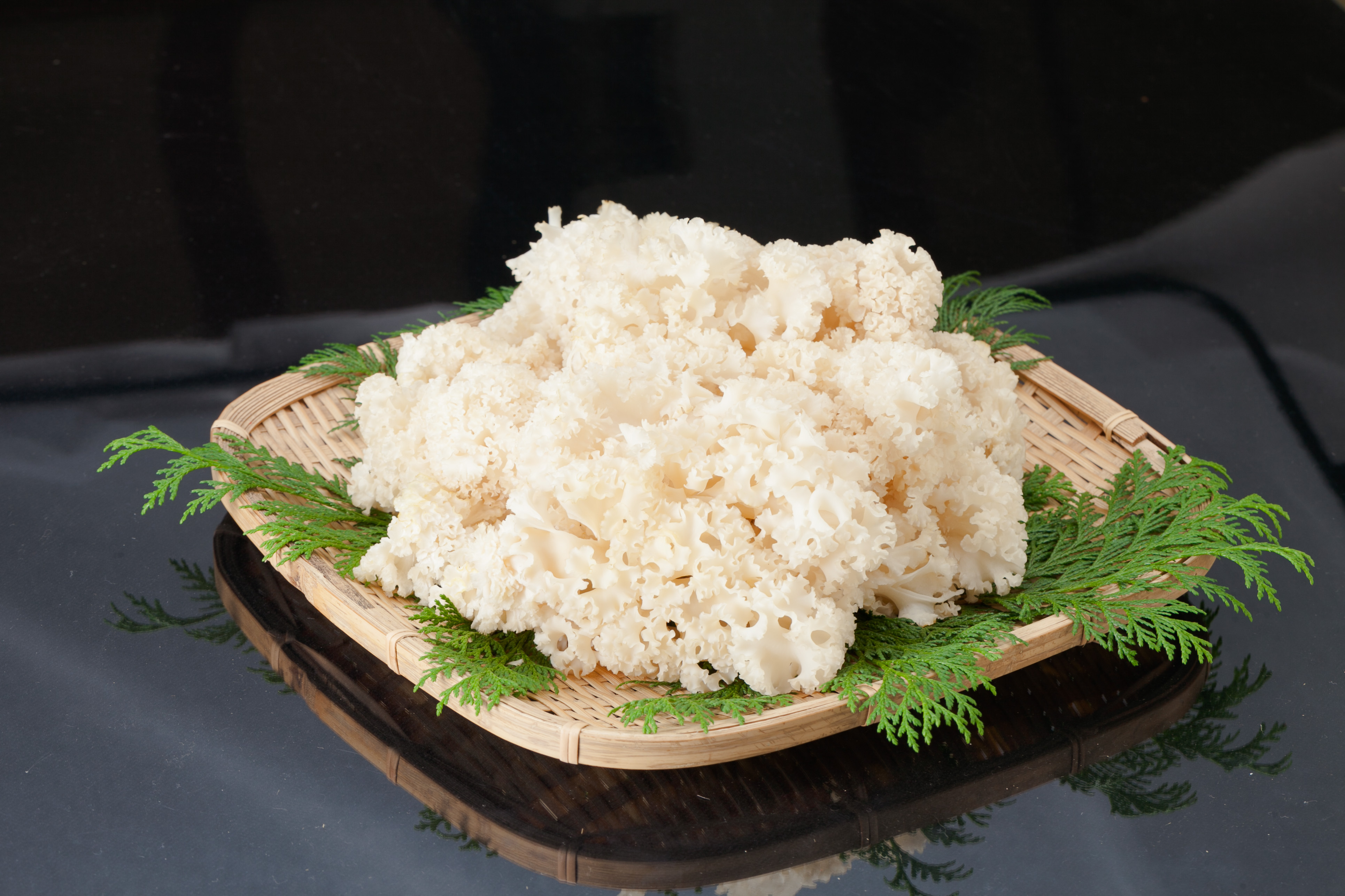 七会きのこセンターのはなびらたけ500g～｜ハナビラタケの商品