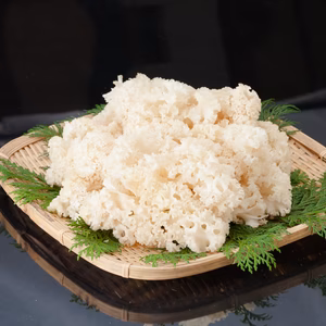 七会きのこセンターのはなびらたけ500g～