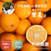 農家直送！甘夏あまなつ　訳あり３Kg～　平武農園