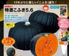 限定3セット！特濃こふき5.6 4～5kg 約2玉