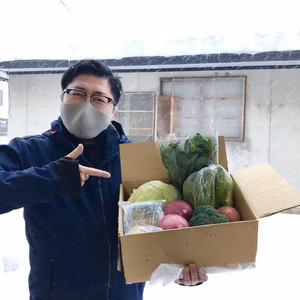 詰め合わせ　あきたこまち　野菜セット　ハパライス　レトルト