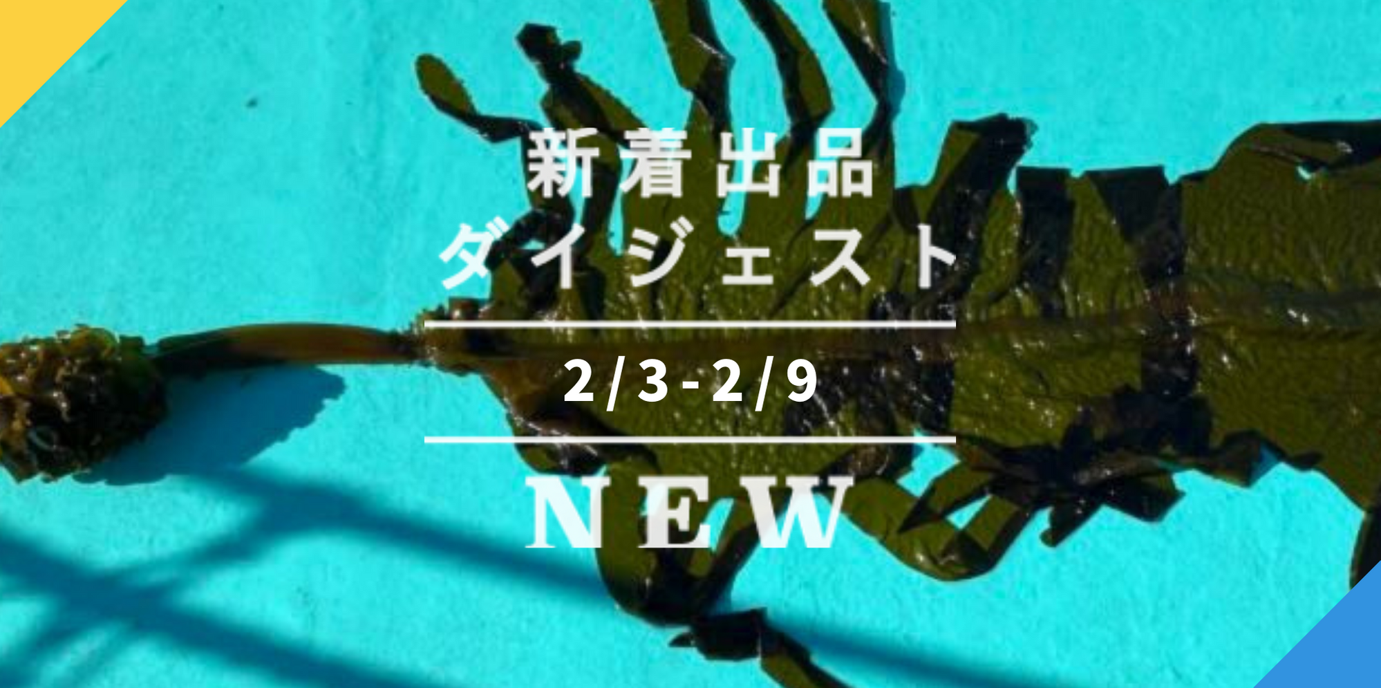 バックナンバー]①はっさく②パエリア専用米③丸ごとわかめ😋今週の 