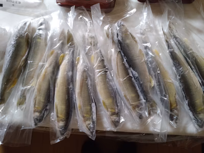 みんなの投稿の画像