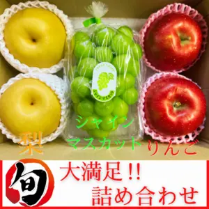 【旬のフルーツセット】りんご 梨 シャインマスカット フルーツ 果物 割引中