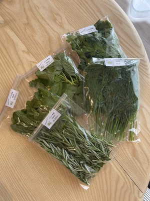 みんなの投稿の画像