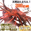 活き〆伊勢海老2000ｇ5～10尾　天然高知県産！ゆず果汁付！簡単レシピ付き