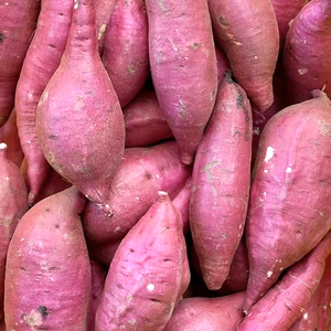 訳ありでもホックリサラリ！新品種「ゆきこまち」色々なサイズ入り