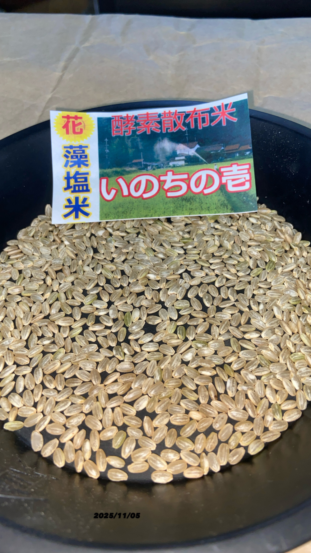 令和７年産米☆☆いのちの壱☆酵素散布米 ☆玄米 いのちの壱 １０キロ 精米無料 ☆まち様リクエスト☆令和7年玄米 いのちの壱 3キロ×3精米無料