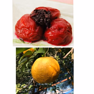 「無添加」昔ながらのしそ漬梅　「無農薬」みずみずしい夏みかん