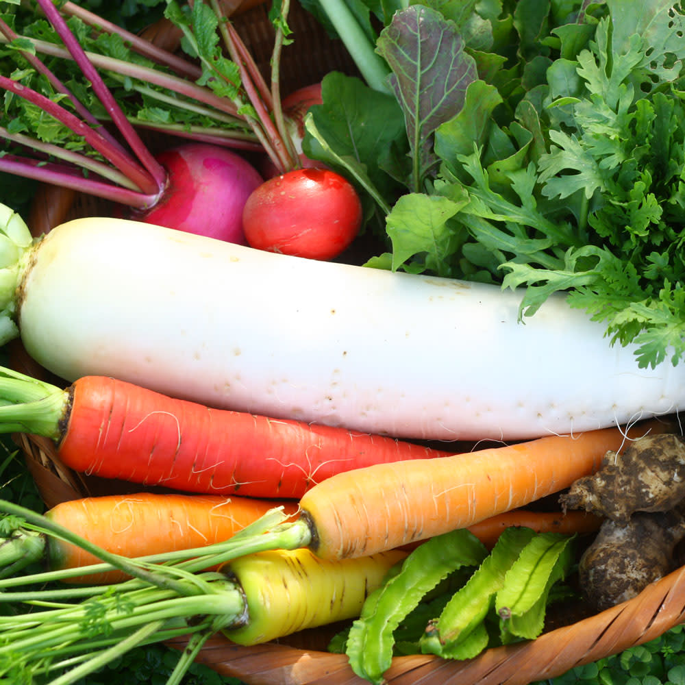 無農薬・無肥料】生命力溢れる 旬野菜セット《冷蔵便》｜野菜セットの