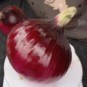 国産【茨城県産】赤玉ねぎ（レッドオニオン）