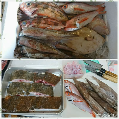 みんなの投稿の画像