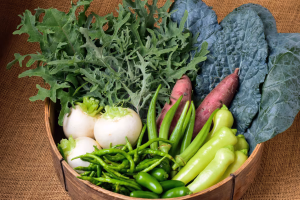 フードロス削減！多品目栽培農家のわけあり旬野菜つめあわせセット