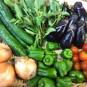 風来のミニミニ無農薬野菜セット（期間不定期販売）