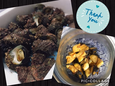 みんなの投稿の画像