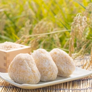 令和7年度産 新米 北アルプスの麓で育んだお米 コシヒカリ5㎏