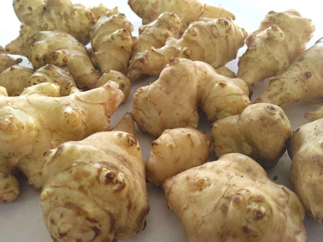 2kg⭐️スーパーフード⭐️菊芋⭐️《OPENセール！特価！》｜菊芋の