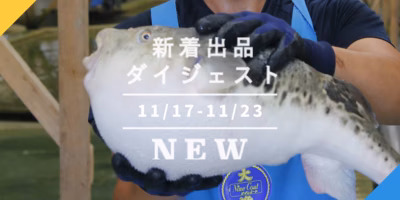 [バックナンバー]天草ふぐセット or せりしゃぶセット この冬どんな鍋食べたい？🍲｜今週のおすすめ新着出品[2021年11月26日編]
