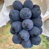 信州産　ナガノパープル
