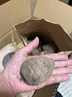 みんなの投稿の画像