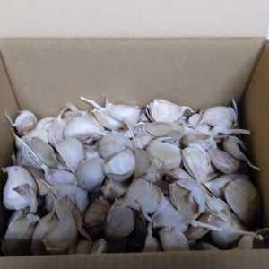 【和想の乾燥ニンニク】ワソリック【規格外品バラ】