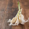 新物【送料込500円】食べれば分かる！新感覚スプラウトにんにく鉄子 発芽にんにく