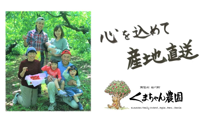 【南信州 松川町産】旬の朝採り“完熟さくらんぼ” 注文から３日以内に発送便
