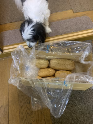 みんなの投稿の画像