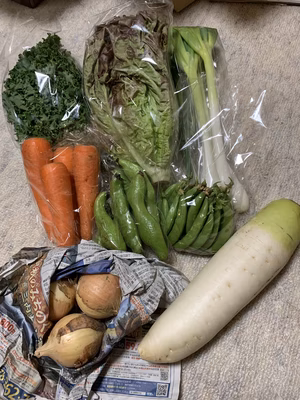 みんなの投稿の画像