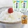【新米】 おいしいはえぬき 2kgx2袋＋炊き込みご飯  山形県産