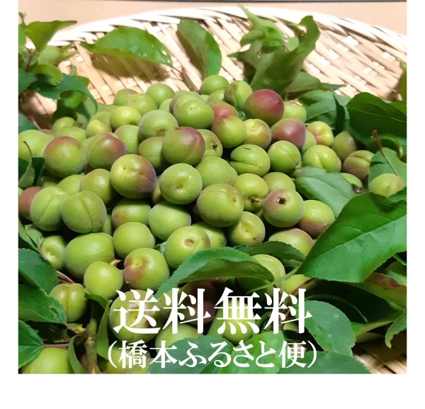 香りよし　小梅（梅酒、梅ジュース、梅干）和歌山県産