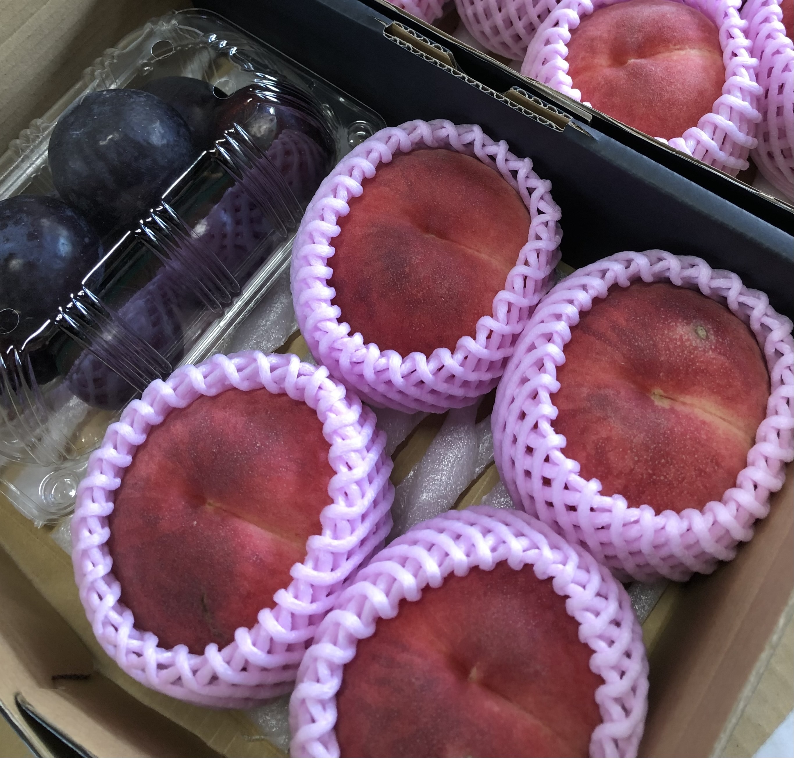 フレッシュプルーン500g & 旬の桃セット(家庭用) 約1.2kg(プルーン500g + 🍑3〜4個)