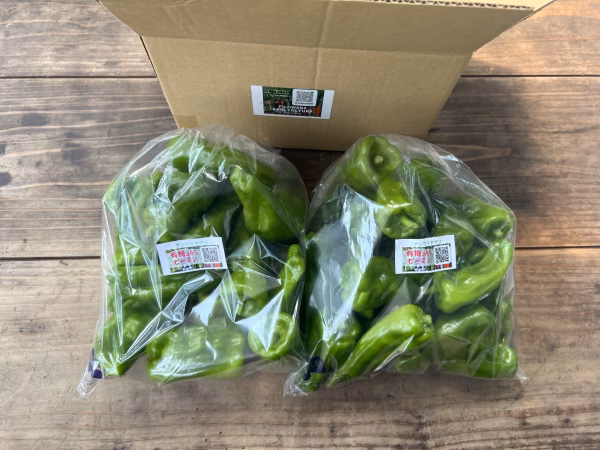 ☆有機JAS認証☆朝採れ新鮮！ピーマン1㎏