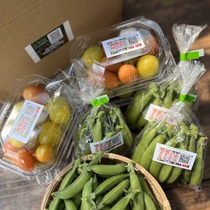 有機JAS認証⭐カラフルミニトマトとスナップえんどうセット900ｇ⭐