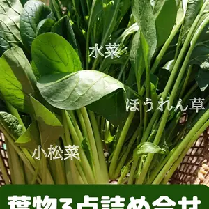【高原春野菜】の葉物３点セット!!(ほうれん草、小松菜、水菜)