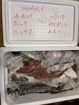 みんなの投稿の画像