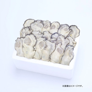 鍛え牡蠣 再販！旬です 今食べたい  広島牡蠣老舗の味!