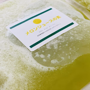 お家で簡単！生メロンジュースの素