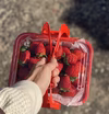 真っ赤な苺は手土産にピッタリ！2L以上の大粒いちごBOX
