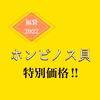 【福袋2022】ホンビノス貝　Mサイズ　