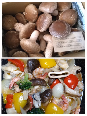 みんなの投稿の画像