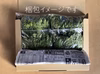 [送料無料] お買い得！爽やかに香るサラダ春菊