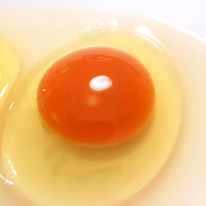 【土用のたまご！？】黒麹で育てた薄羽養鶏場のたまご