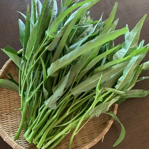 農家直送！　朝取り空芯菜